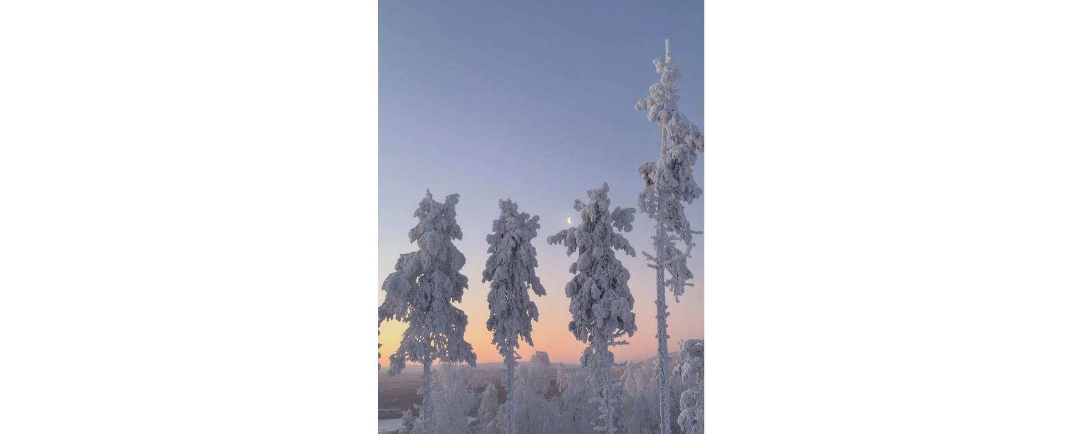 Kuva tulossa